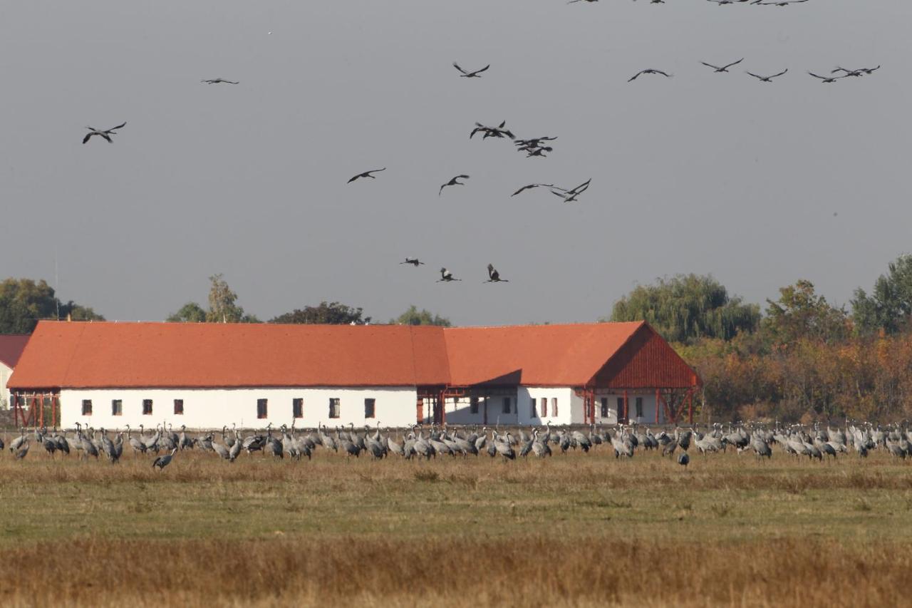 Bibic Nature Lodge Balmazújváros エクステリア 写真