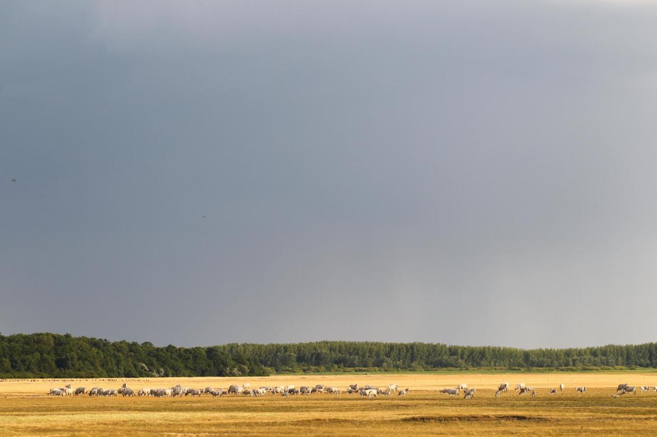 Bibic Nature Lodge Balmazújváros エクステリア 写真